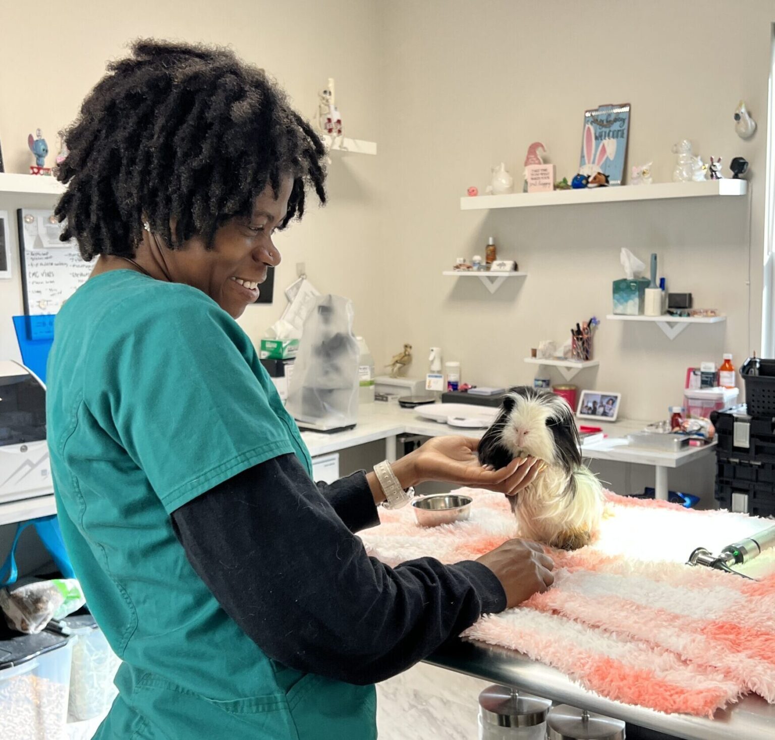 Veterinarians – Southeast FL Rabbit Rescue